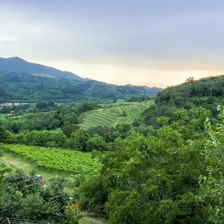 Pensionat Cebron Family Estate 4*