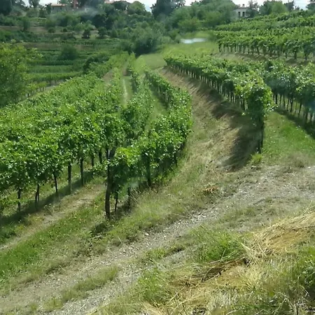 Guest house Cebron Family Estate Branik