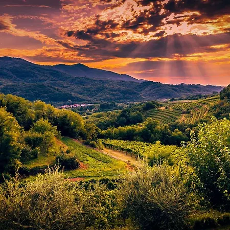 Cebron Family Estate Pensionat Branik