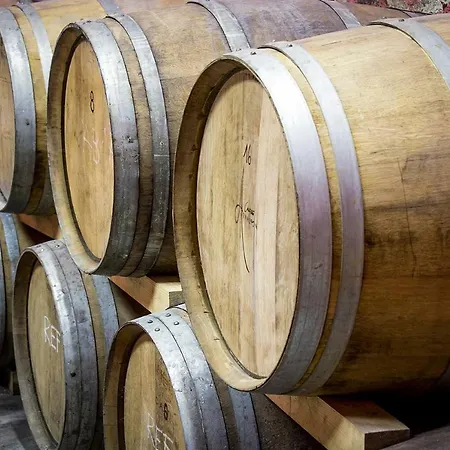 Cebron Family Estate 4* Branik