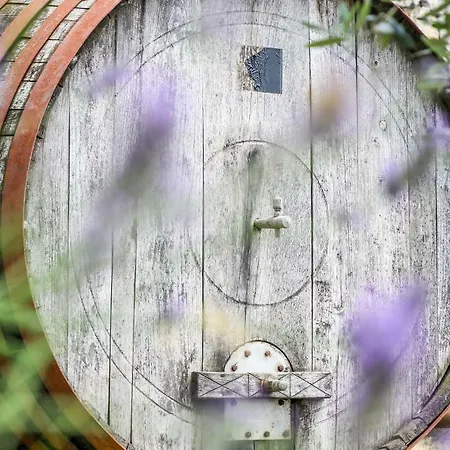 Cebron Family Estate Affittacamere Branik