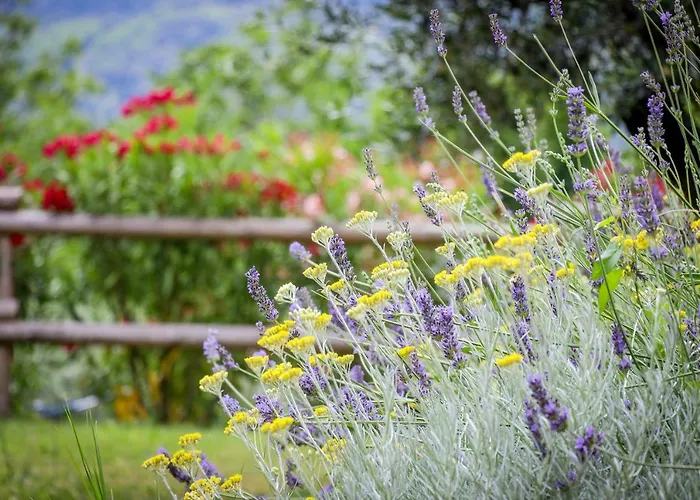 Cebron Family Estate 4*