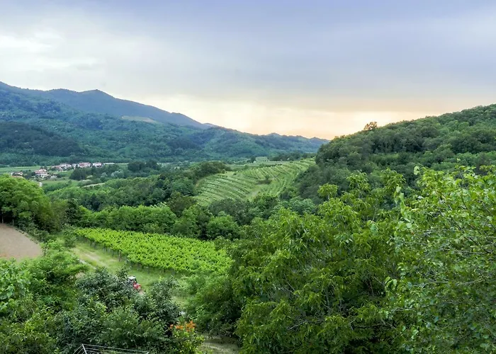 Affittacamere Cebron Family Estate 4*