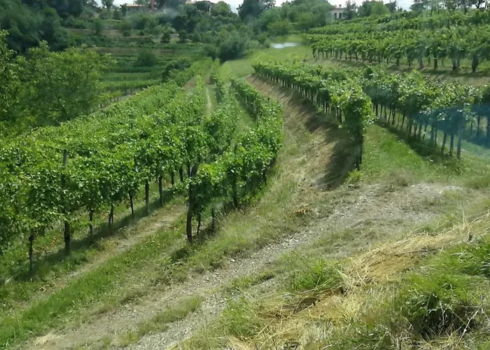 Affittacamere Cebron Family Estate Branik