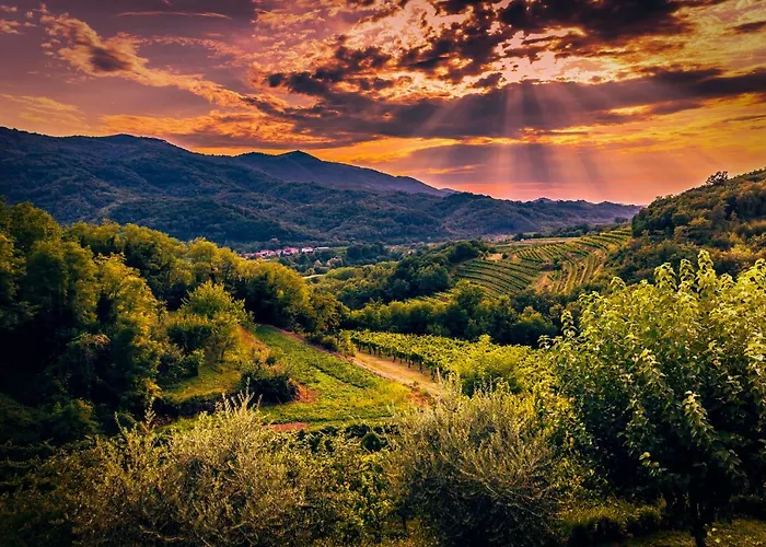 Cebron Family Estate بيت ضيافة Branik