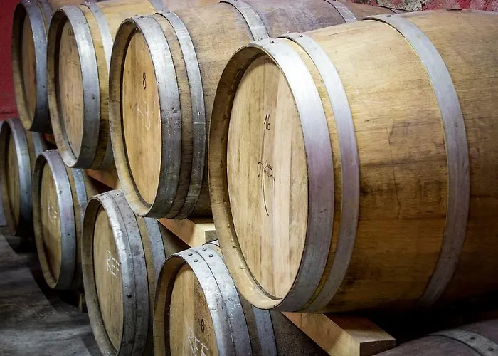 Cebron Family Estate 4* Branik