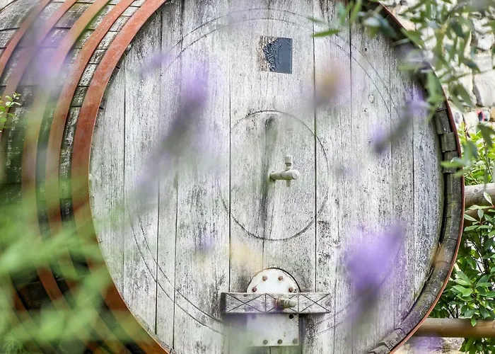 Cebron Family Estate Affittacamere Branik